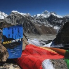 Malamente-Everest-Ricky